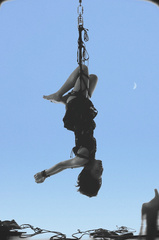 Shibari